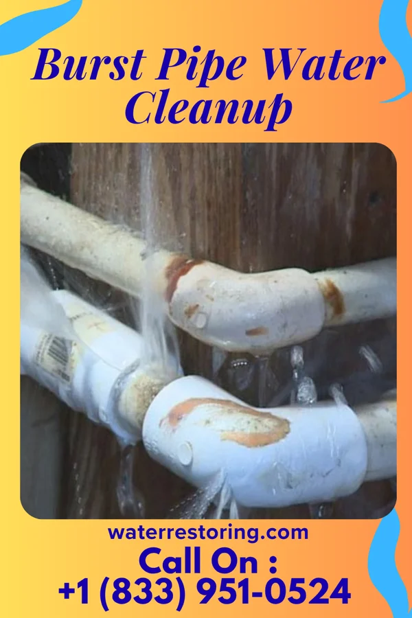 Burst Pipe Water Cleanup in Cockrell Hill, TX