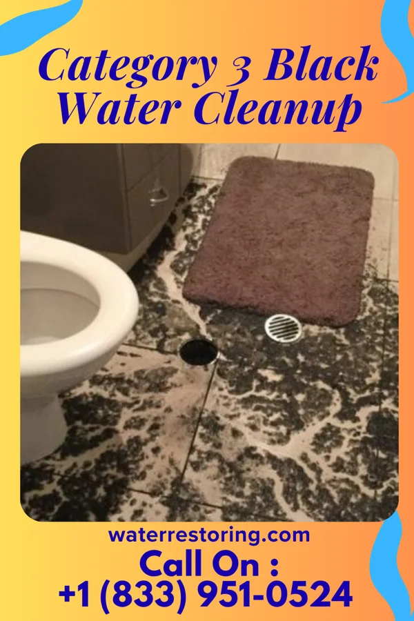 Category 3 Black Water Cleanup in Cockrell Hill, TX
