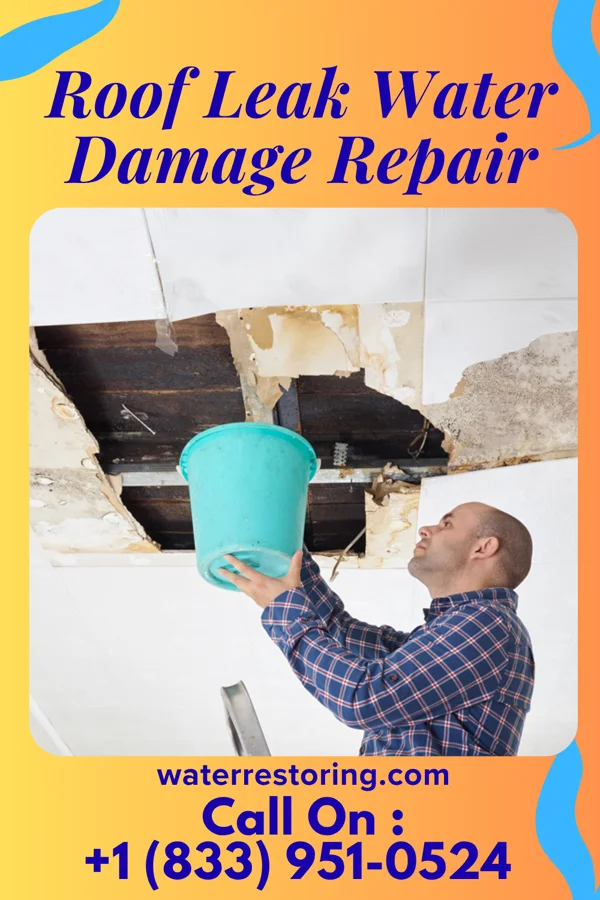 Roof Leak Water Damage Repair in Cockrell Hill, TX